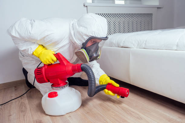 Best Flea Control Services  in Hebron, MD