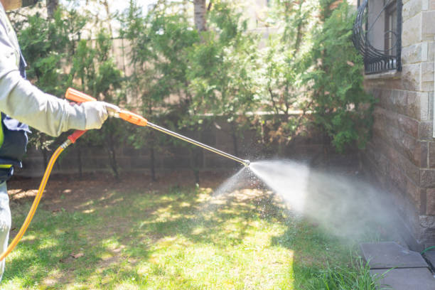 Best Affordable Pest Control Services  in Hebron, MD