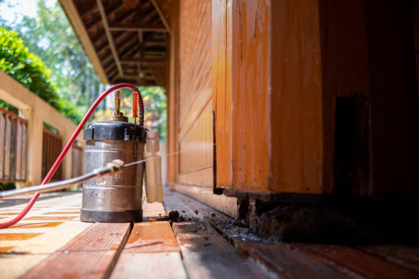 Best Best Pest Control Companies  in Hebron, MD