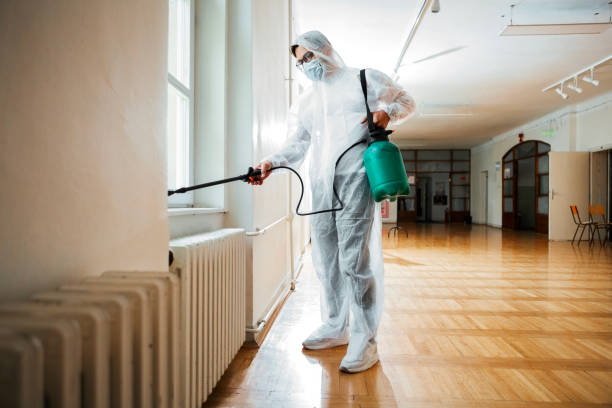 Best Local Pest Control Services  in Hebron, MD