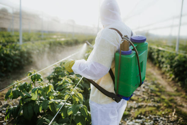 Trusted Hebron, MD Pest Control Experts
